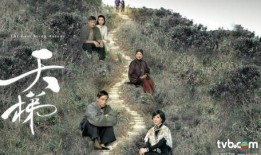 天梯粤语版在线观看,穿越时空的粤语魅力之旅